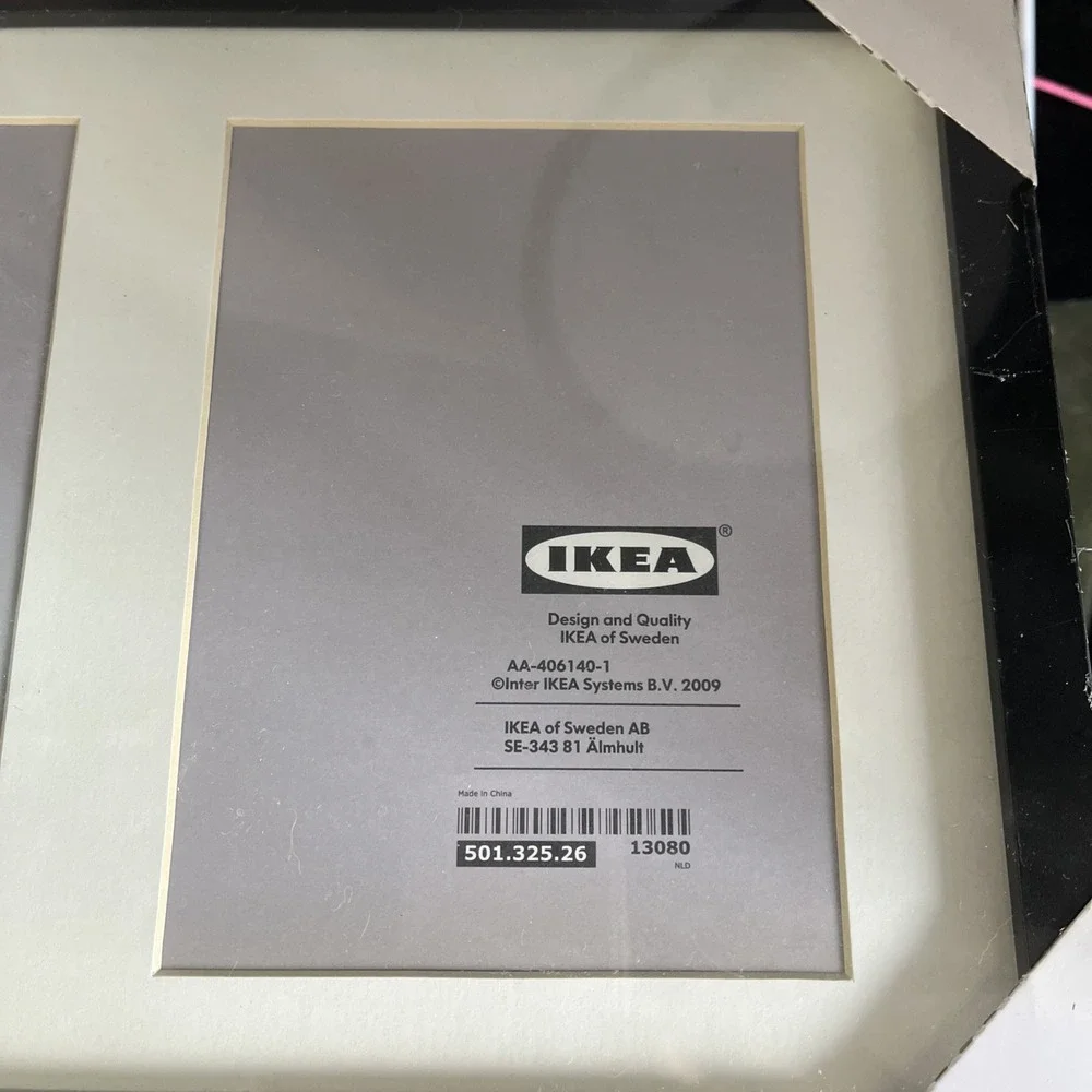 IKEA ribba picture